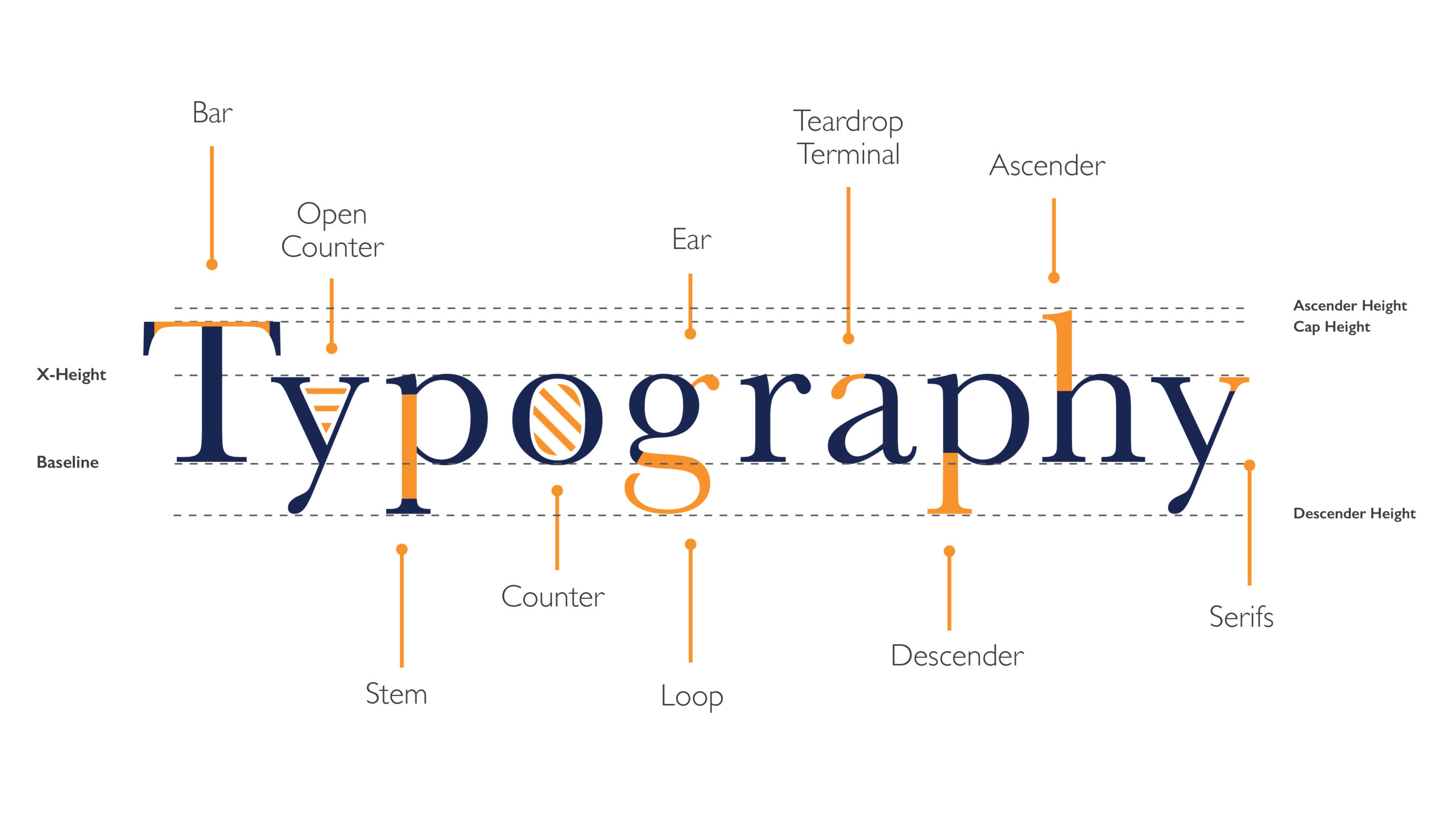 final image type anatomy
